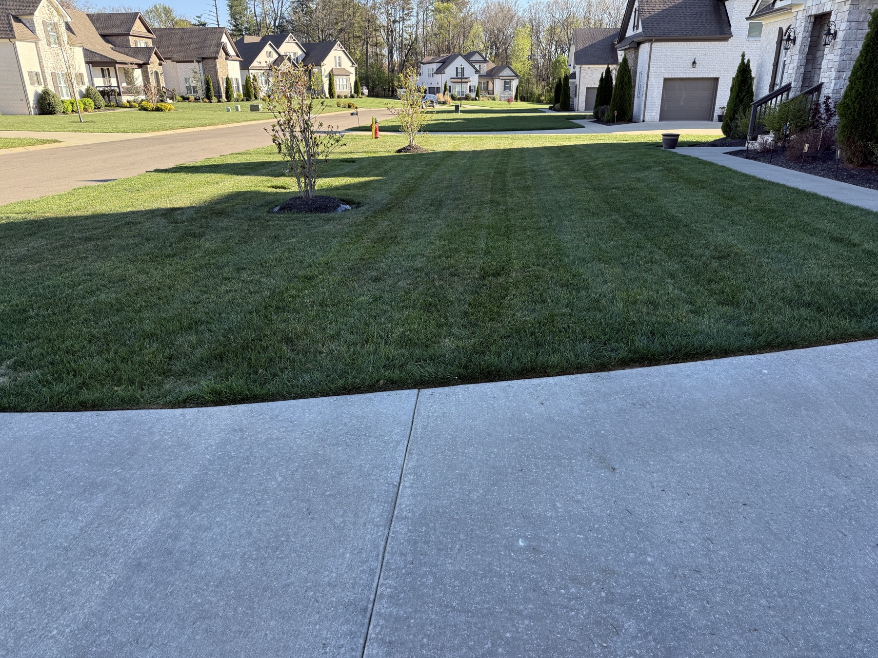 Completed residential lawn care project